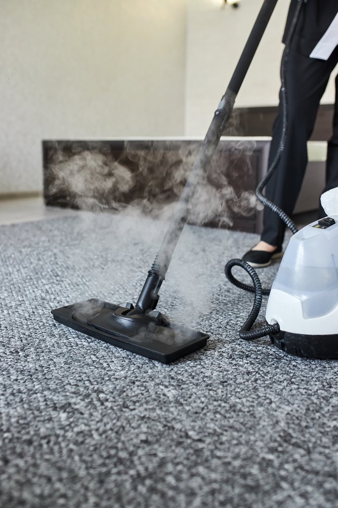 Professional stain removal services